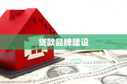阳信贷款品牌建设