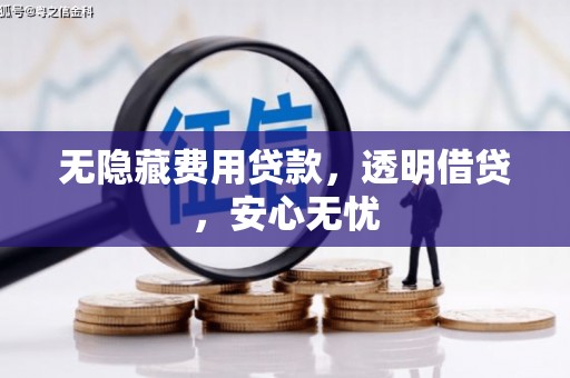 阳信无隐藏费用贷款，透明借贷，安心无忧