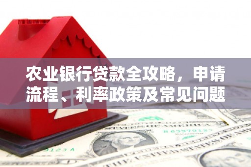 阳信农业银行贷款全攻略，申请流程、利率政策及常见问题解析