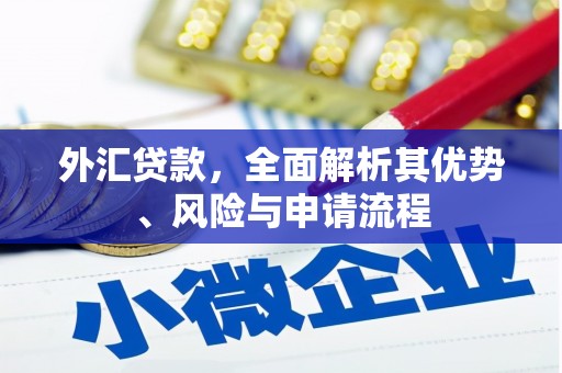 阳信外汇贷款，全面解析其优势、风险与申请流程