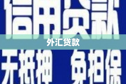 阳信外汇贷款
