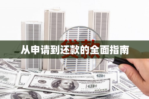 阳信从申请到还款的全面指南