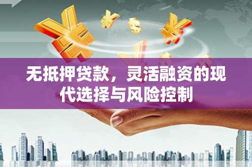 阳信无抵押贷款，灵活融资的现代选择与风险控制