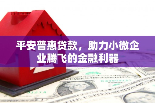 阳信平安普惠贷款，助力小微企业腾飞的金融利器