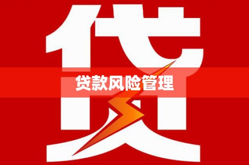 阳信贷款风险管理