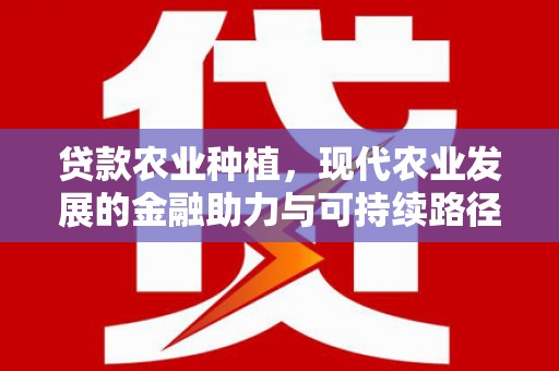 阳信贷款农业种植，现代农业发展的金融助力与可持续路径