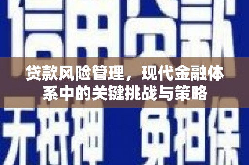 阳信贷款风险管理，现代金融体系中的关键挑战与策略