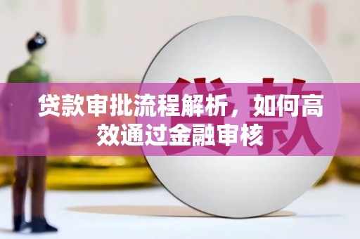 阳信贷款审批流程解析，如何高效通过金融审核