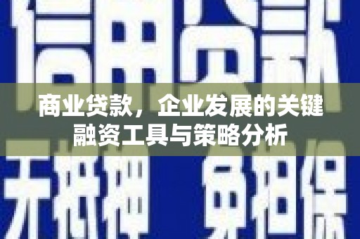 阳信商业贷款，企业发展的关键融资工具与策略分析
