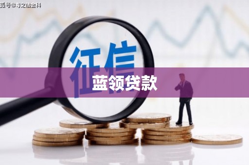阳信蓝领贷款