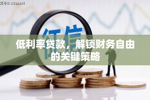 阳信低利率贷款，解锁财务自由的关键策略