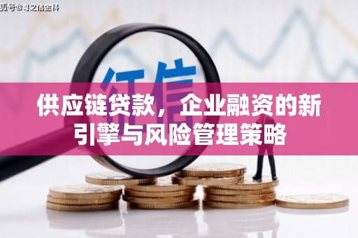 阳信供应链贷款，企业融资的新引擎与风险管理策略
