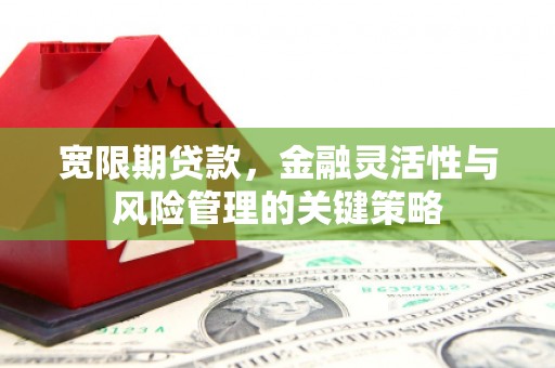 阳信宽限期贷款，金融灵活性与风险管理的关键策略
