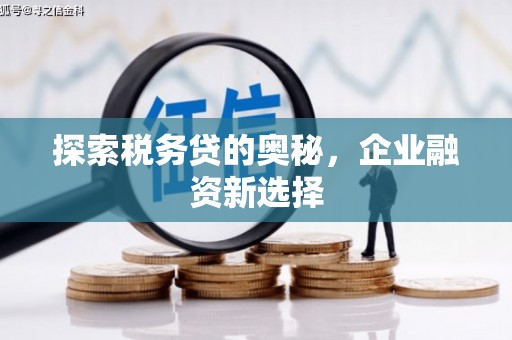 阳信探索税务贷的奥秘，企业融资新选择