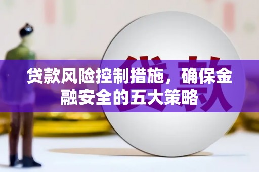 阳信贷款风险控制措施，确保金融安全的五大策略
