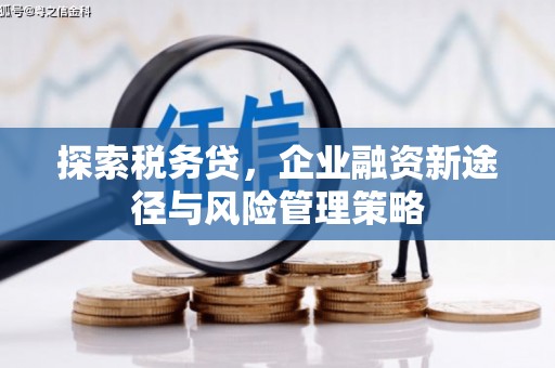 阳信探索税务贷，企业融资新途径与风险管理策略