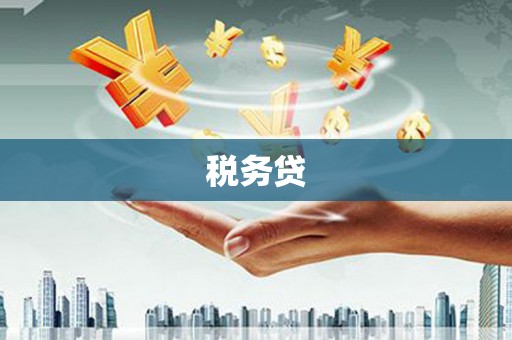阳信税务贷