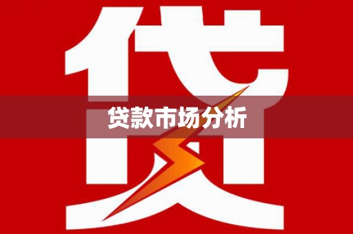 阳信贷款市场分析