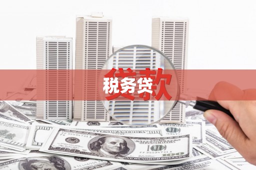阳信税务贷