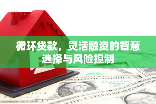 阳信循环贷款，灵活融资的智慧选择与风险控制