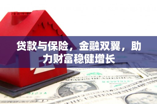 阳信贷款与保险，金融双翼，助力财富稳健增长