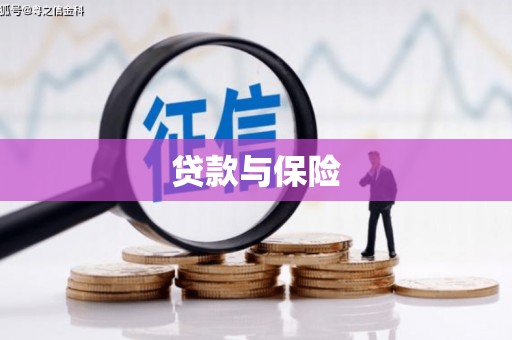 阳信贷款与保险
