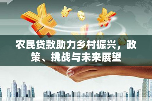阳信农民贷款助力乡村振兴，政策、挑战与未来展望