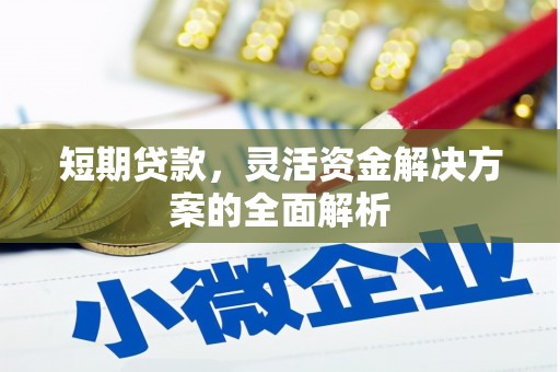 阳信短期贷款，灵活资金解决方案的全面解析