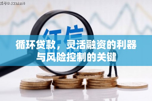 阳信循环贷款，灵活融资的利器与风险控制的关键