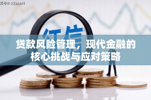阳信贷款风险管理，现代金融的核心挑战与应对策略