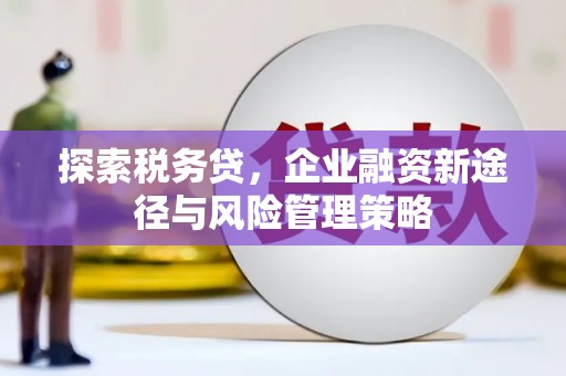 阳信探索税务贷，企业融资新途径与风险管理策略