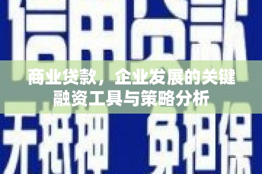 阳信商业贷款，企业发展的关键融资工具与策略分析