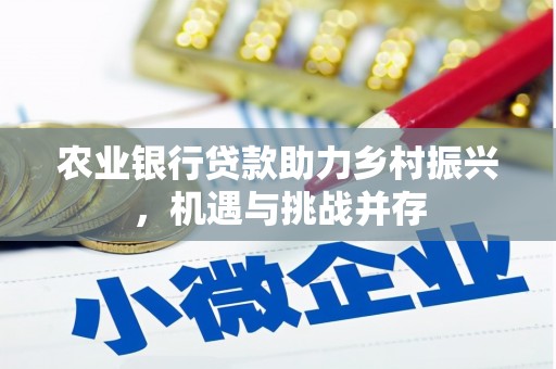 阳信农业银行贷款助力乡村振兴，机遇与挑战并存