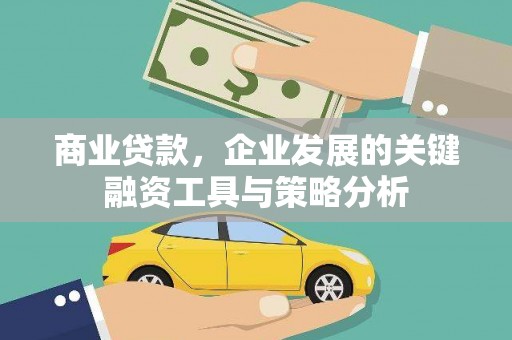 阳信商业贷款，企业发展的关键融资工具与策略分析