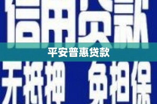 阳信平安普惠贷款