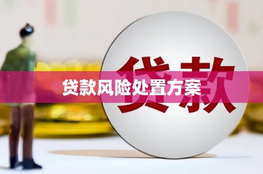 阳信贷款风险处置方案