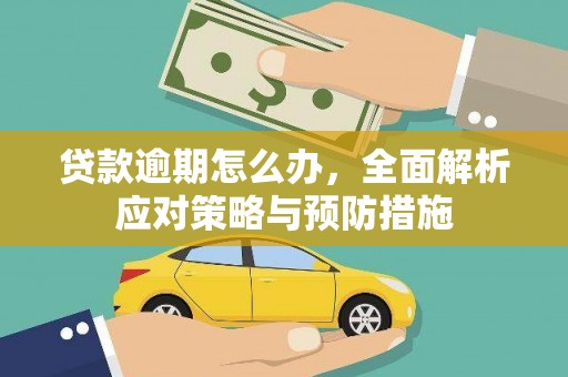 阳信贷款逾期怎么办，全面解析应对策略与预防措施