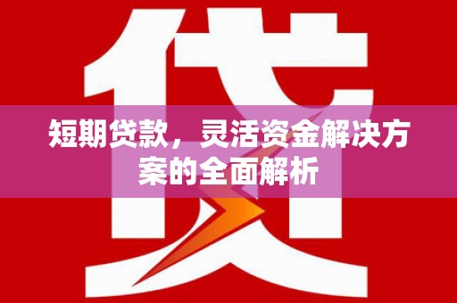 阳信短期贷款，灵活资金解决方案的全面解析
