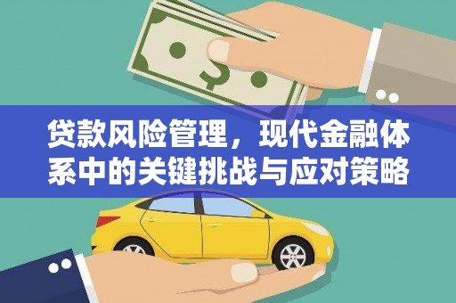 阳信贷款风险管理，现代金融体系中的关键挑战与应对策略