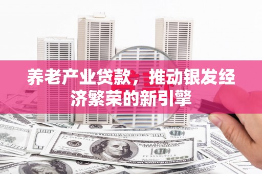 阳信养老产业贷款，推动银发经济繁荣的新引擎