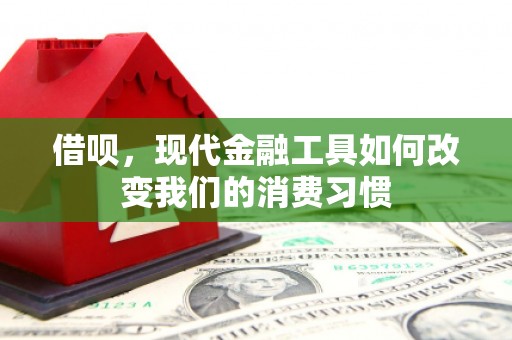 阳信借呗，现代金融工具如何改变我们的消费习惯