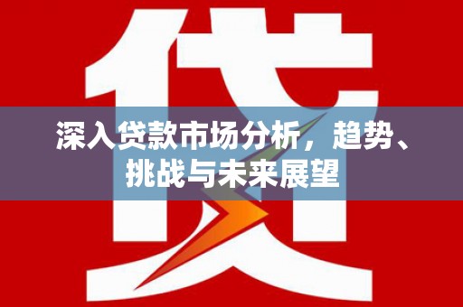 阳信深入贷款市场分析，趋势、挑战与未来展望
