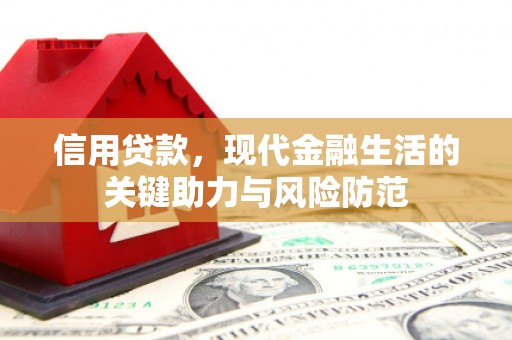 阳信信用贷款，现代金融生活的关键助力与风险防范