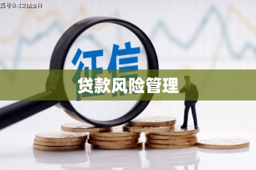 阳信贷款风险管理