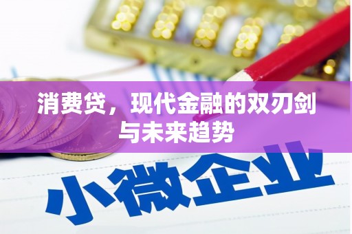 阳信消费贷，现代金融的双刃剑与未来趋势