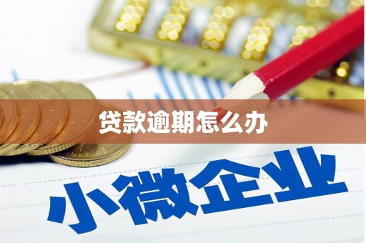 阳信贷款逾期怎么办