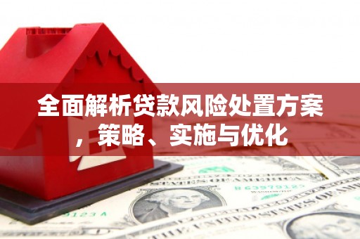 阳信全面解析贷款风险处置方案，策略、实施与优化