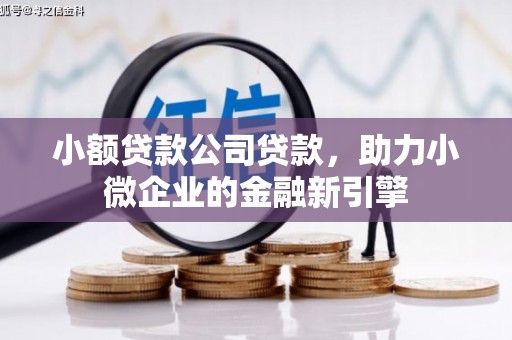 阳信小额贷款公司贷款，助力小微企业的金融新引擎