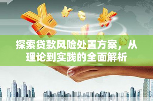 阳信探索贷款风险处置方案，从理论到实践的全面解析