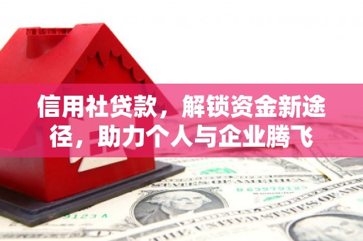 阳信信用社贷款，解锁资金新途径，助力个人与企业腾飞